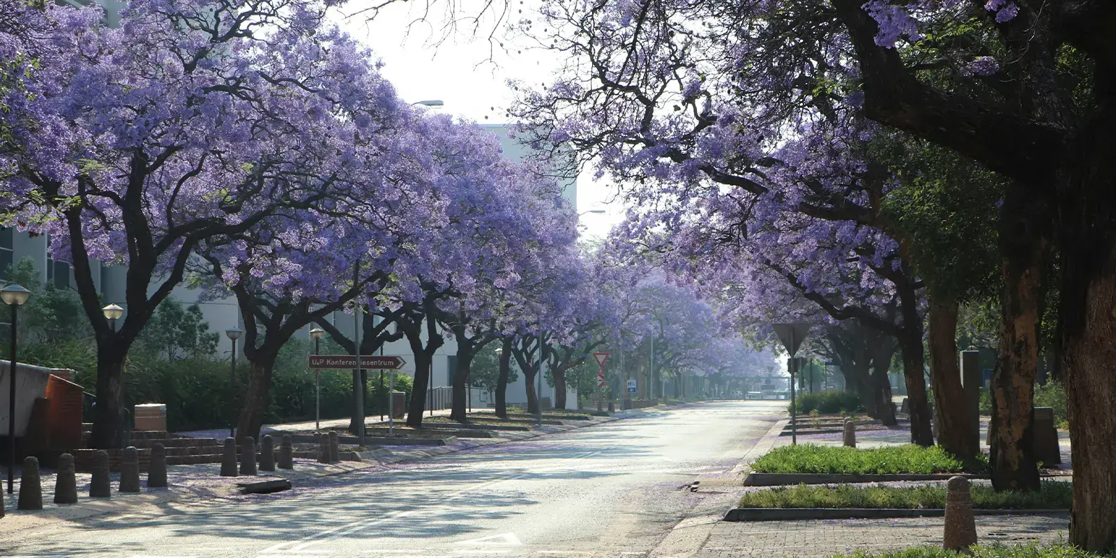 Students living at South Point Pretoria Students living at South Point Pretoria